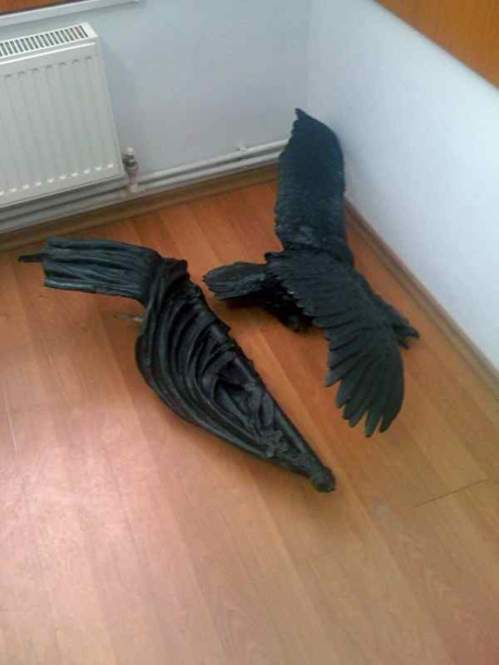 odiseea vultur monument eroi balaceanca